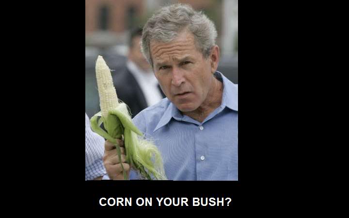 Name:  bush.jpg
Views: 9
Size:  22.1 KB