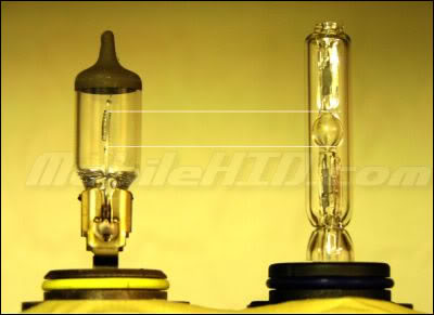 Name:  bulbs.jpg
Views: 30
Size:  16.8 KB